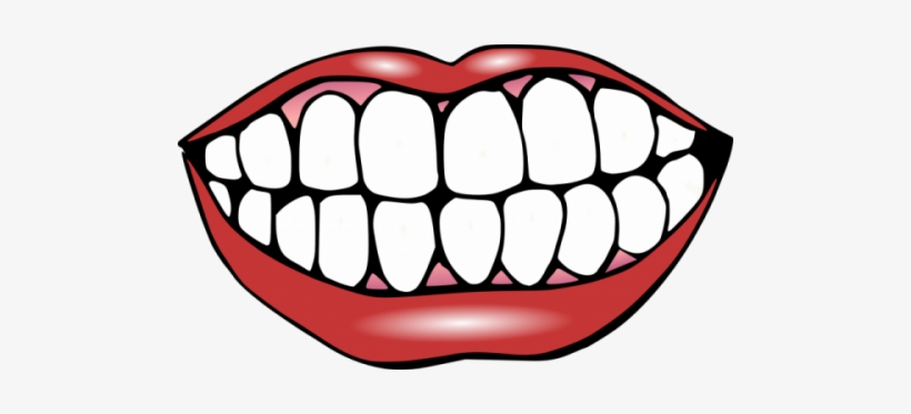 Variations - Clip Art Of Teeth, transparent png download