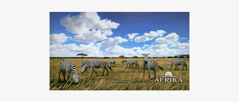 Afrika Theme - Savanna, transparent png download