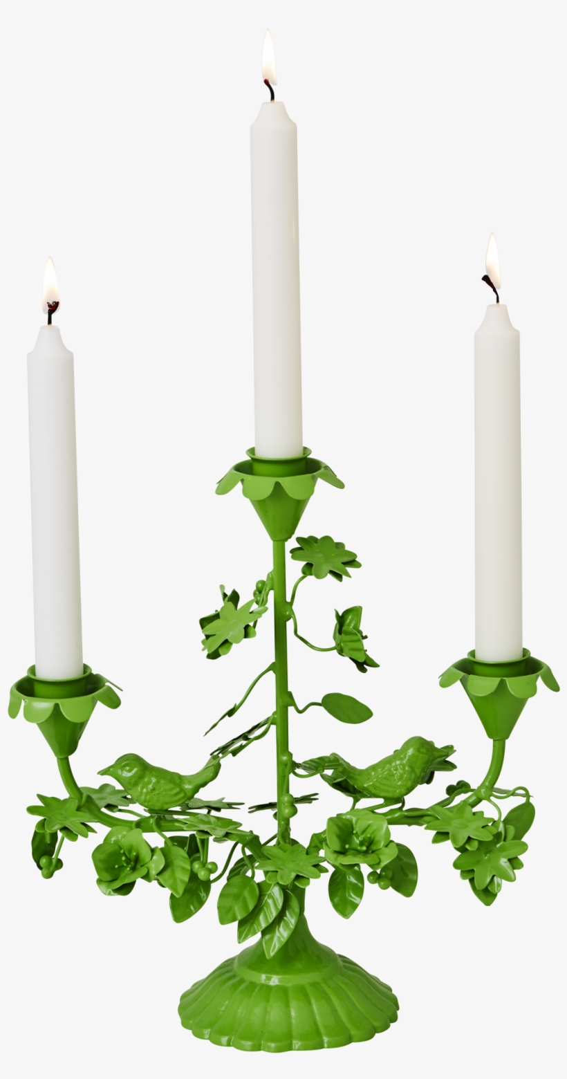 Green Metal Birds & Flowers 3 Arm Candle Holder Rice - Meteorites Perles D’etoile, transparent png download