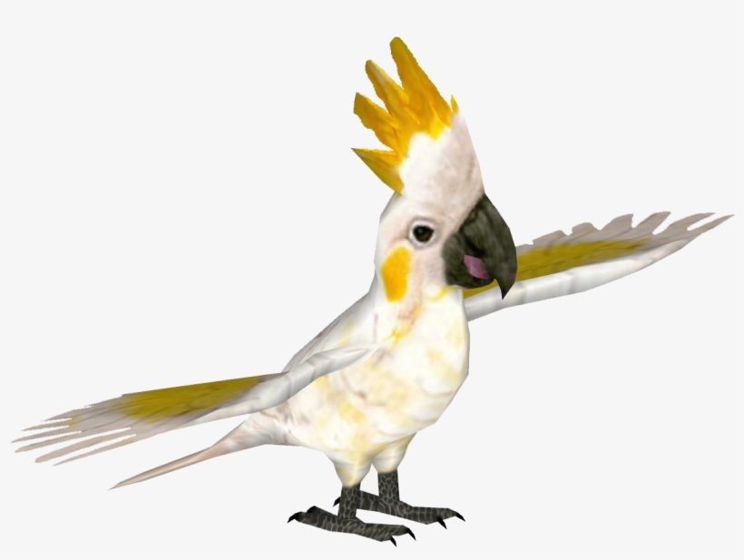 Yellow-crested Cockatoo Transparent PNG - 1181x1181 - Free Download on