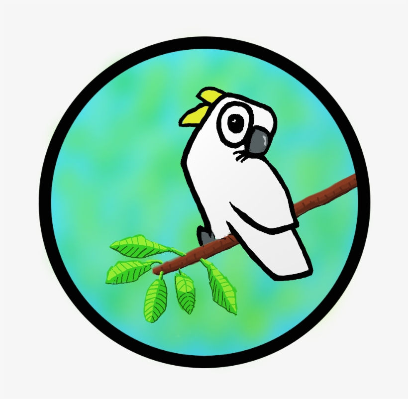 Sulpher Crested Cockatoo Illustration - Cartoon, transparent png download