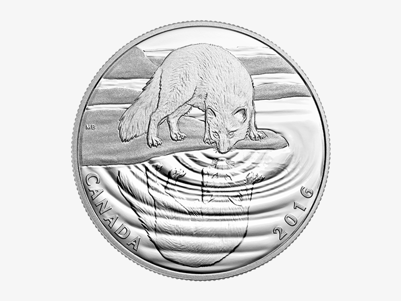 Pure Silver Coin Reflections Of Wildlife - Silver, transparent png download