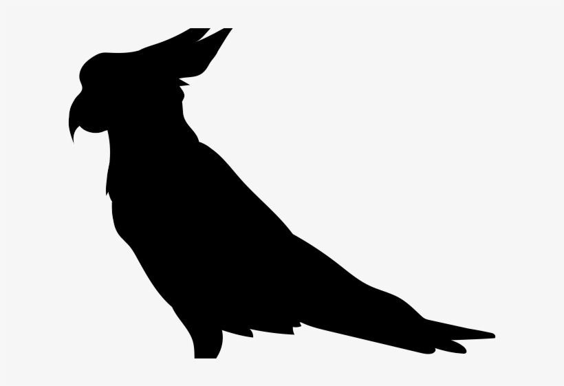 Cockatoo Clipart Transparent - Cockatoo Silhouette, transparent png download