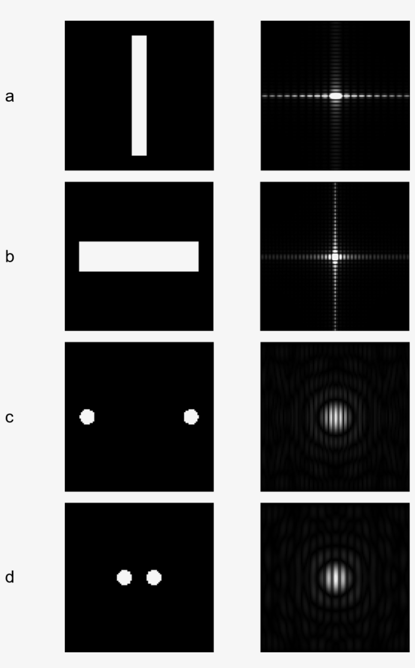 Anamorphic Property Of Ft - Beyond The Pixels Photography, transparent png download