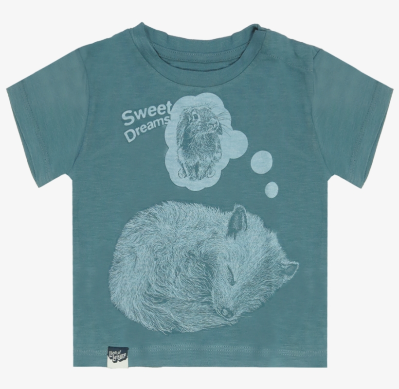Lion Of Leisure Baby T-shirt Arctic Fox - Infant, transparent png download