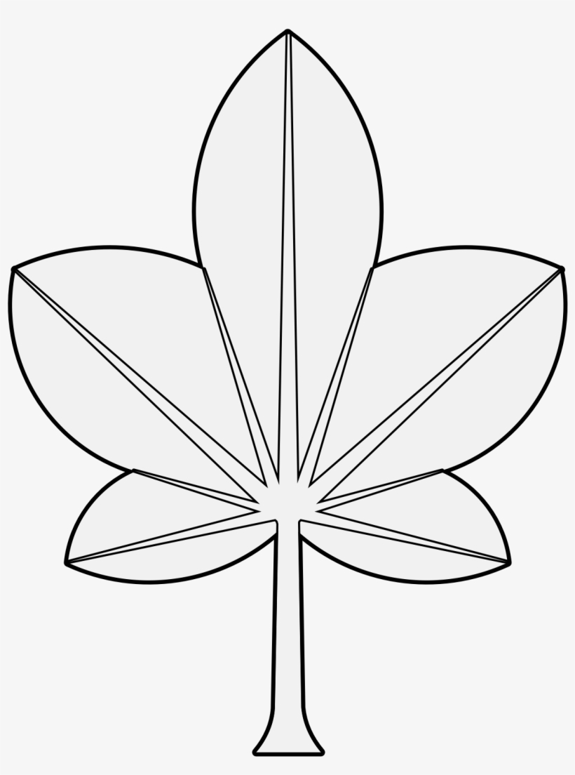 Details, Png - Flower, transparent png download