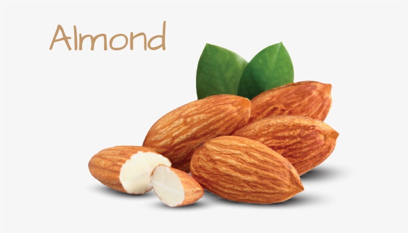 Ingredient Image Template 02 - Almond, transparent png download