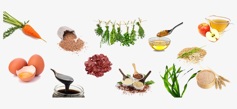 Glas-nischenrückwand Kräuter Breite 60 Cm, transparent png download