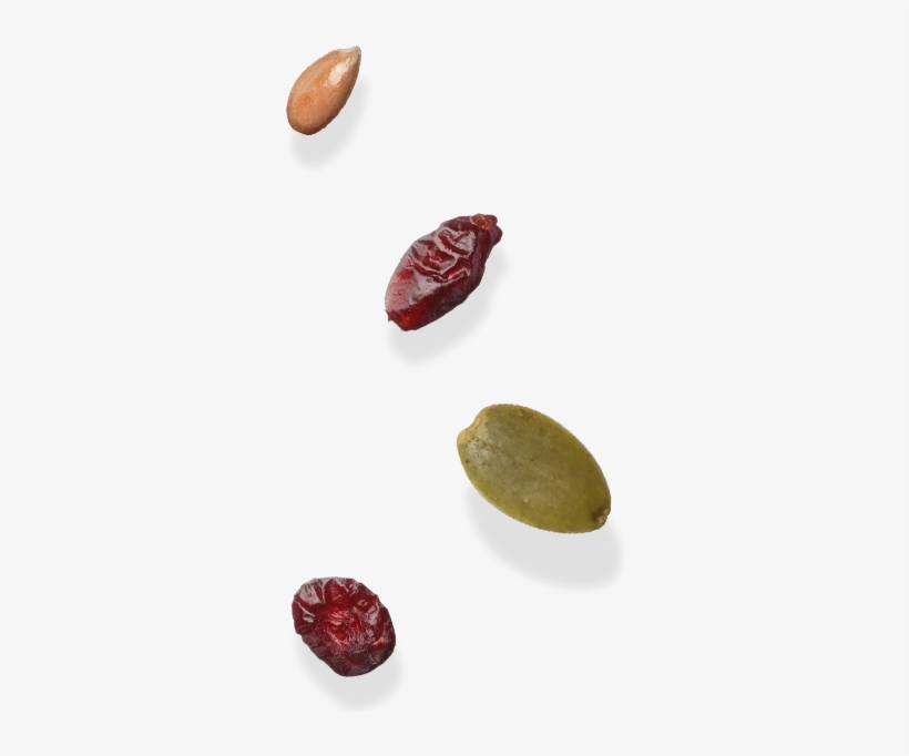 Food Ingredients - Food, transparent png download