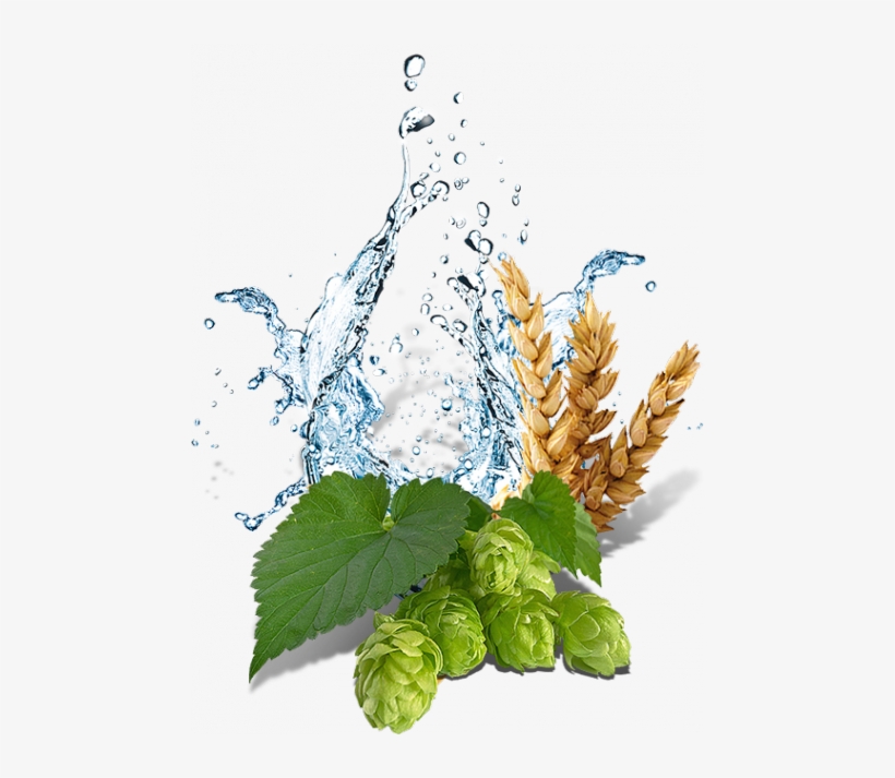 Ingredients - Illustration, transparent png download