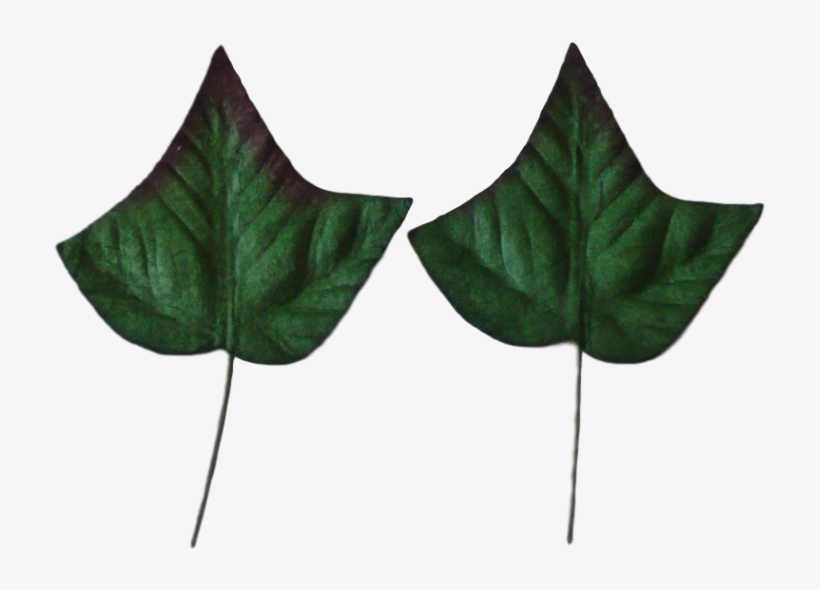 Green Mulberry Paper Ivy Leaves 3,5cm / 10pcs - Ivy, transparent png download