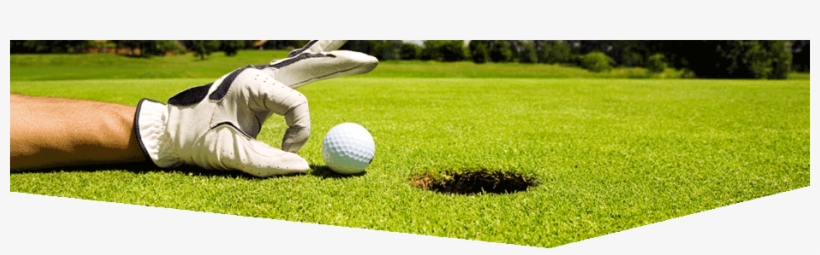 Contact Form - Twitter Backgrounds Golf, transparent png download