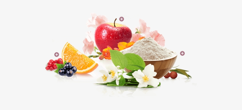 Creating The Perfect Fragrance - Starting Out With C++ From Control Structures Through, transparent png download