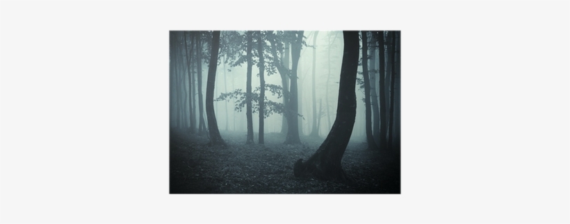 Bosque Oscuro, transparent png download