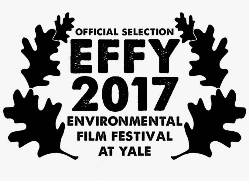 Effy2017 Laurel, transparent png download