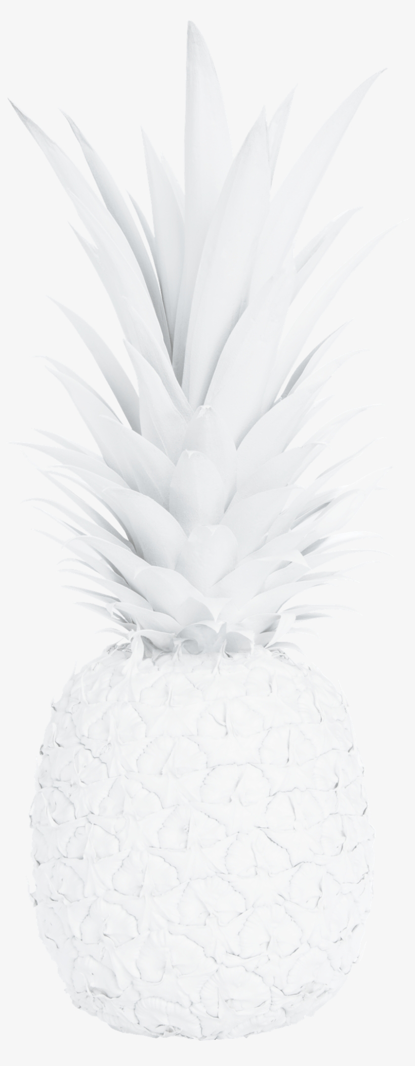 Pineapple, transparent png download