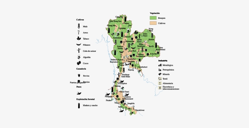 Economic Map Of Asia, transparent png download