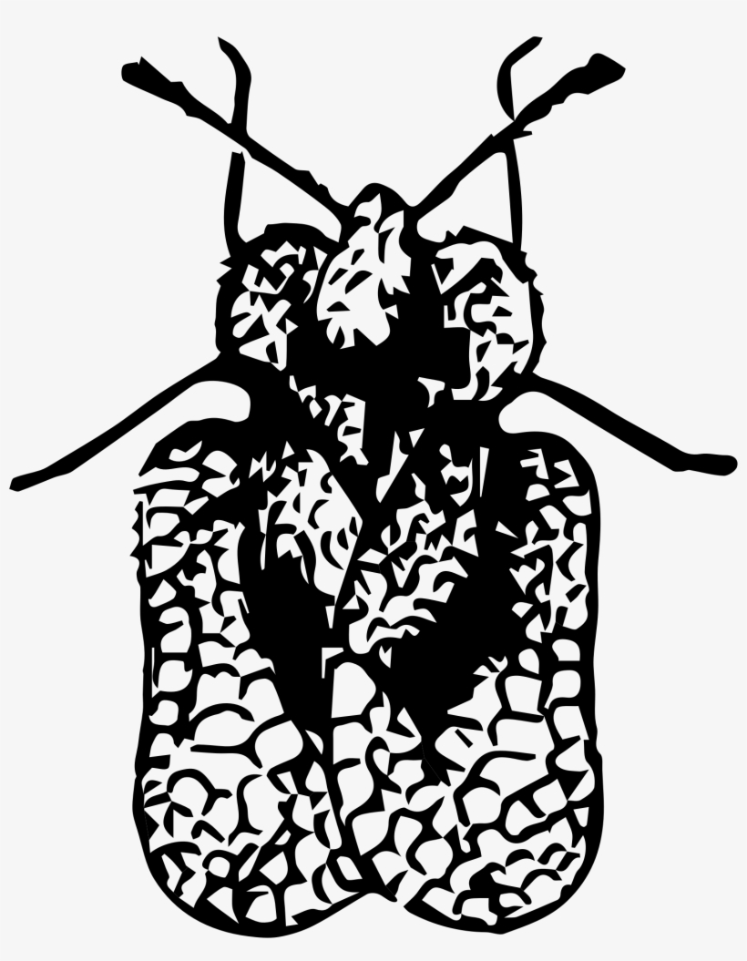This Free Icons Png Design Of Lace Bug, transparent png download