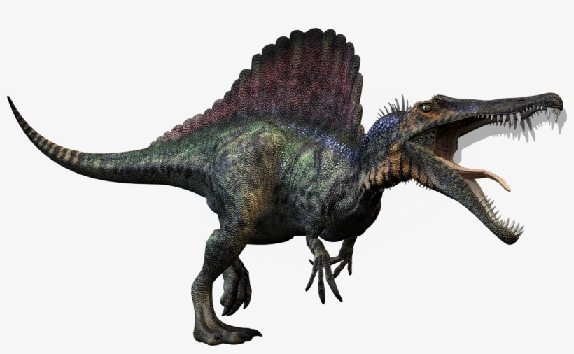 Spinosaurus - T Rex Spinosaurus Dinosaurs, transparent png download