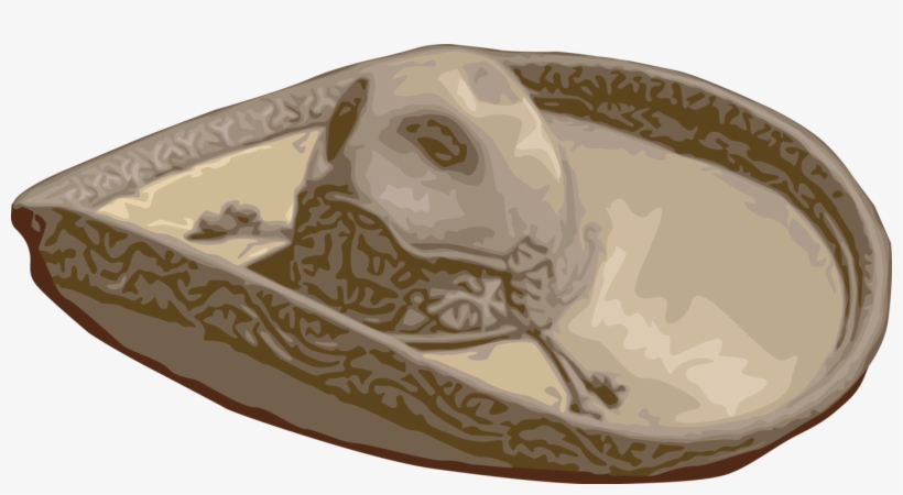 Vector Illustration Of Spanish Or Mexican Wide-brimmed - Slip-on Shoe, transparent png download