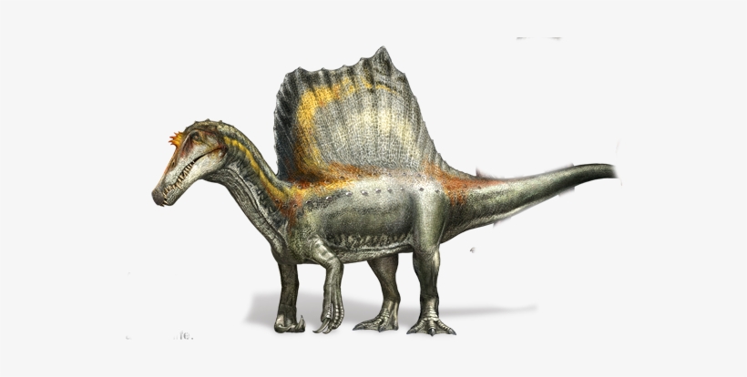 Spinosaurus Four Legs - New Spinosaurus, transparent png download