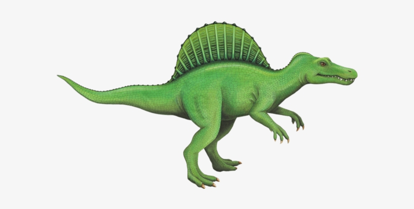 Spinosaurus Dinosaur, transparent png download