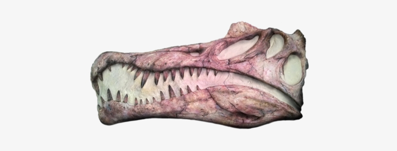 How To Enter - Spinosaurus, transparent png download