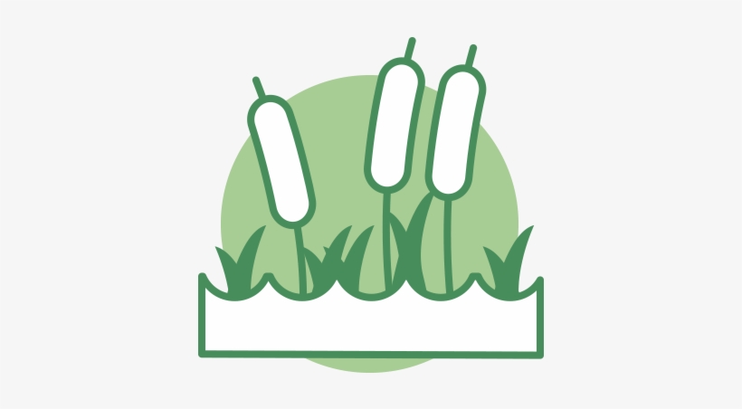 The Milk River Ridge Is A 1,663 Km2 Area In The Southern - Constructed Wetland Icon, transparent png download