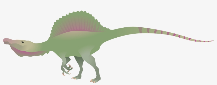 Spinosaurus By Dasruedi - Spinosaurus, transparent png download