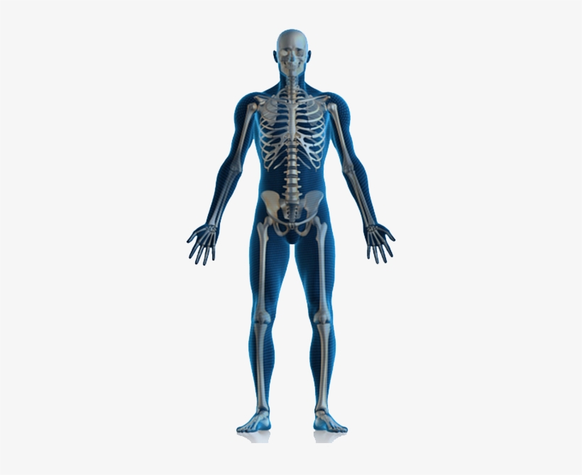 Locate The Pain - Physiotherapy All Body Pain, transparent png download