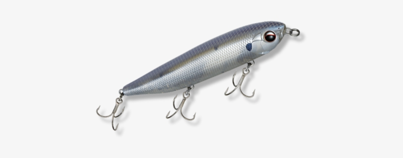 Luring With A Quick Walk The Dog Action, The Jt-95 - Evergreen International Airlines, transparent png download