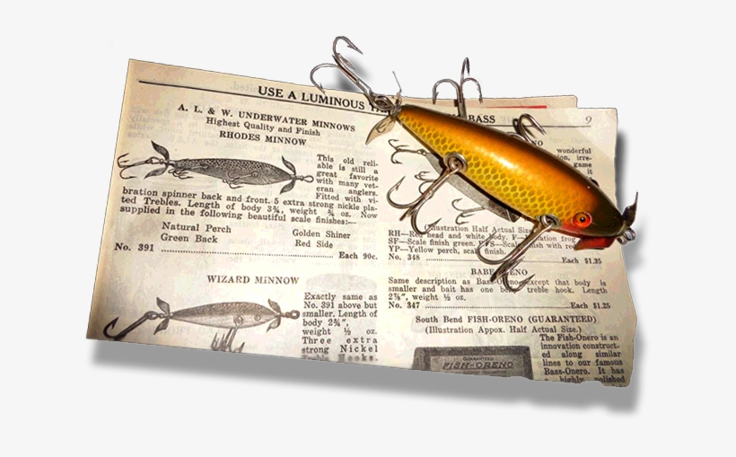 Image Layer Image Layer - Longhorn Beetle, transparent png download