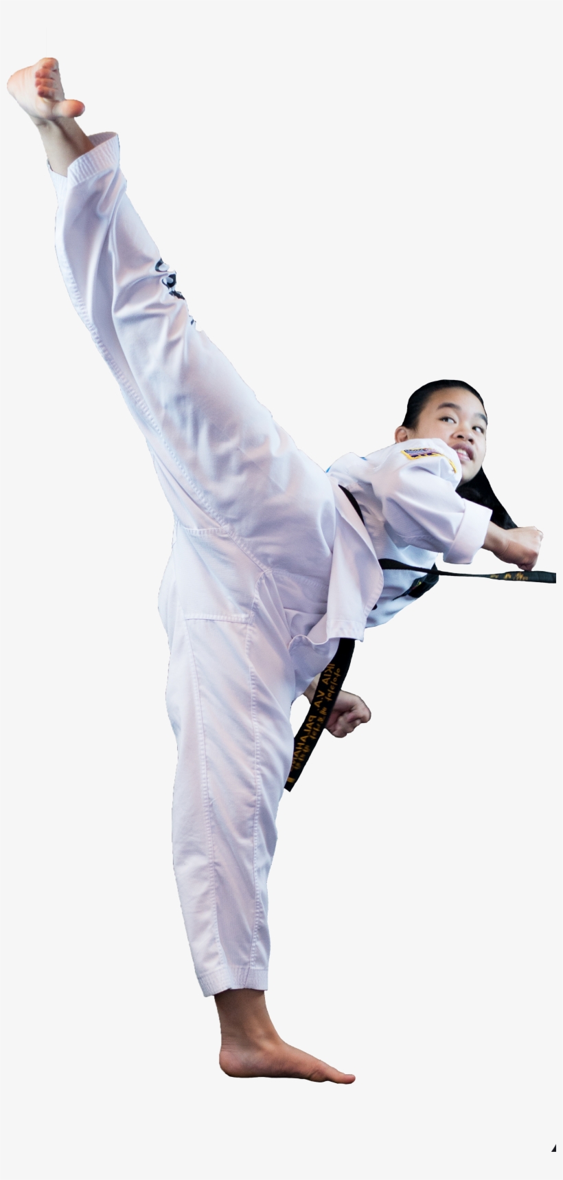 Programs - Taekwondo Kicks Png, transparent png download