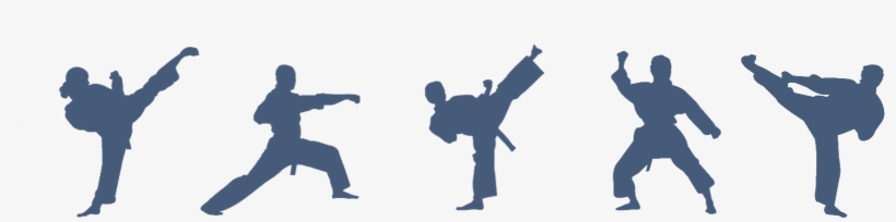 Our Committee 2018/19 - Wallhogs Martial Arts Lunge Silhouette Cutout Wall, transparent png download