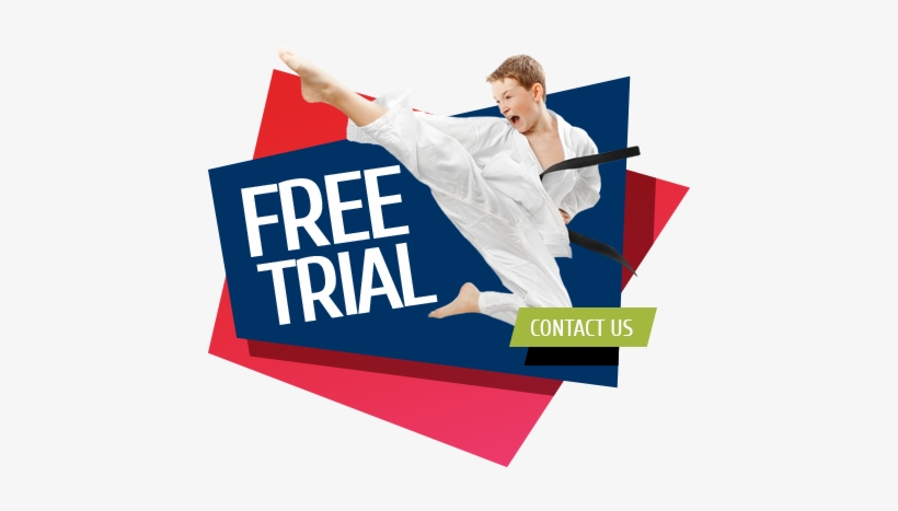 Dragon Academy, transparent png download