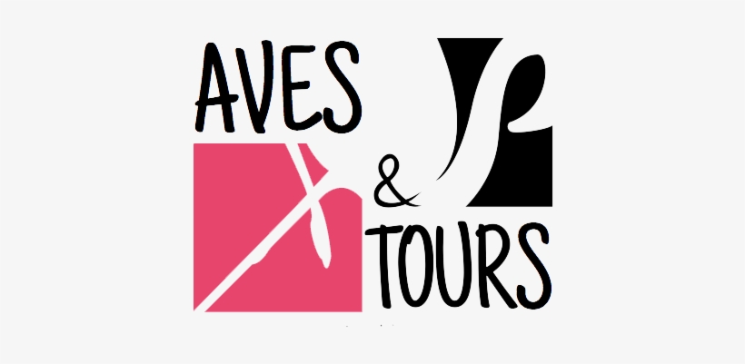 Aves And Tours - Bird, transparent png download
