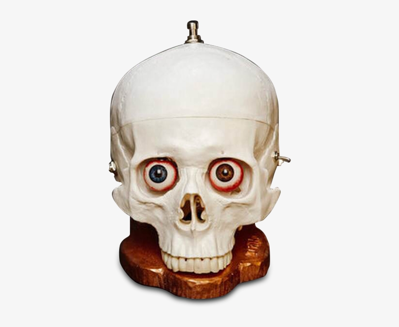 Skullfuzz $339 - Drno Effects, transparent png download