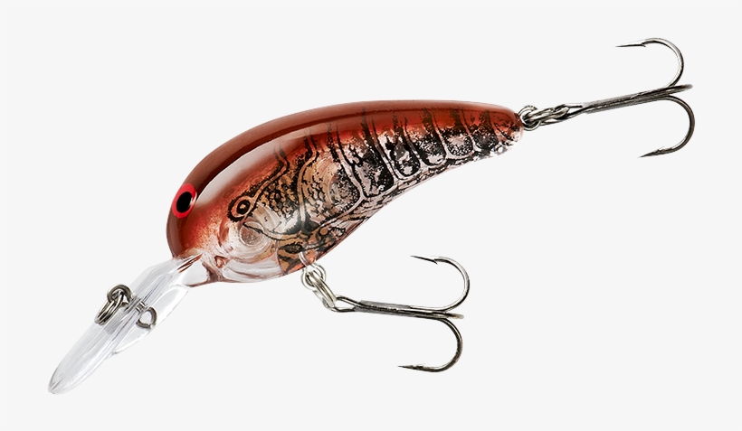 Norman Deep Baby N 1/4, transparent png download