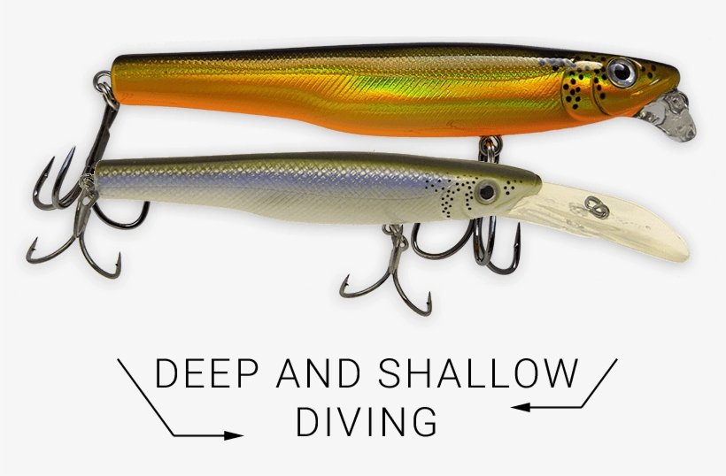 American Smelt - Rainbow Smelt, transparent png download