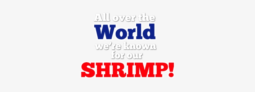 Mama Blue's Southern Charmed Fried Shrimp - Fifa World Cup 2010 Banner, transparent png download