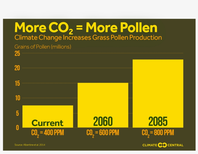 Jpg • Transparent Png - Jpeg, transparent png download