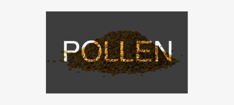 Our Pollen Is Collected Off The Bees And Has Excess - Night, transparent png download