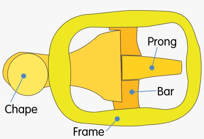 Buckle, transparent png download