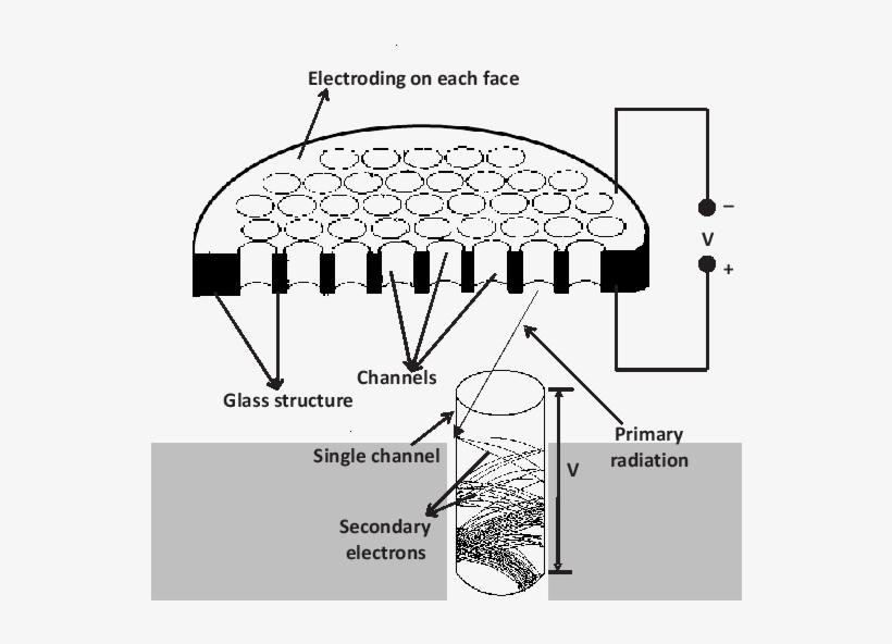 Diagram, transparent png download