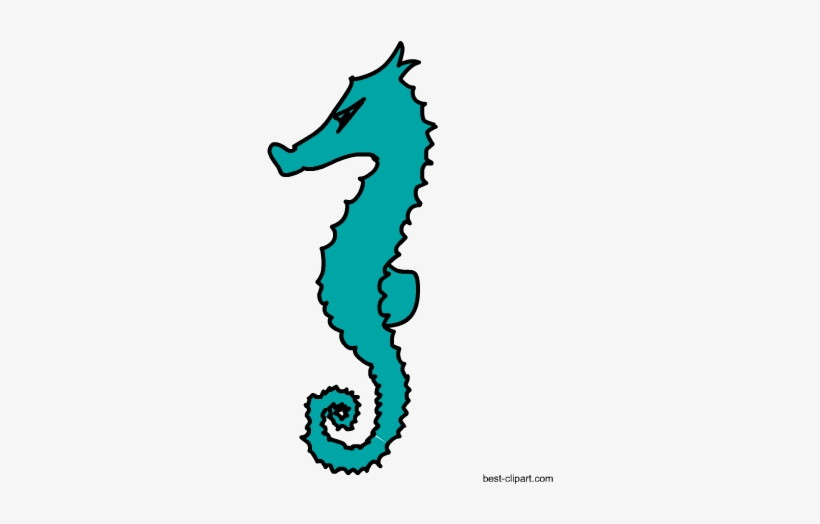 Sea Horse Free Marine Animal Clipart - Animal, transparent png download
