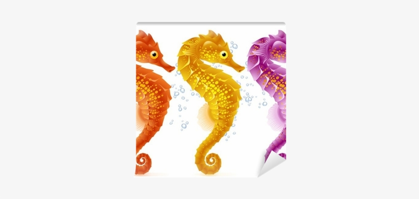 Triple Seahorse Shower Curtain, transparent png download