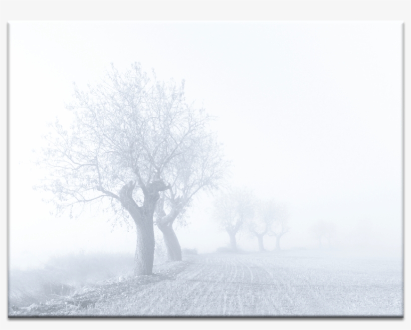 Foggy Sunday - Wallpaper, transparent png download
