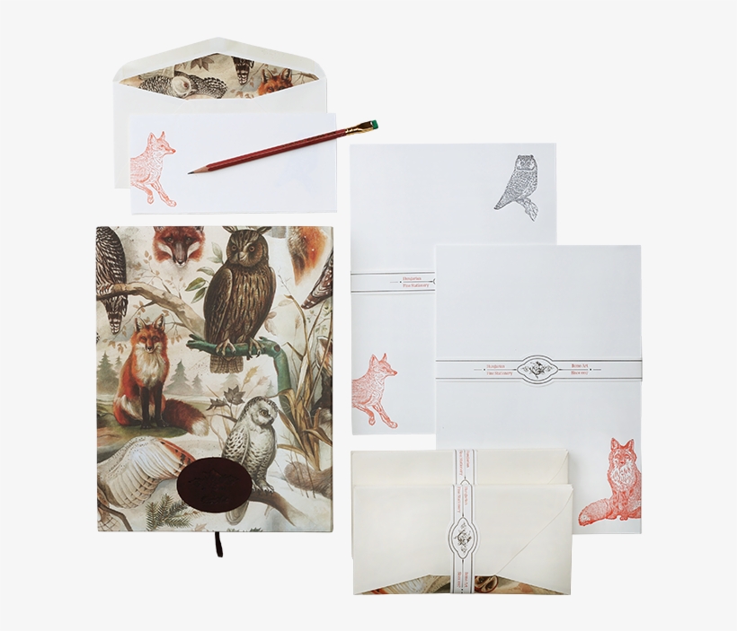 The Mysterious Life Of Trees Fox & Owl - Illustration, transparent png download