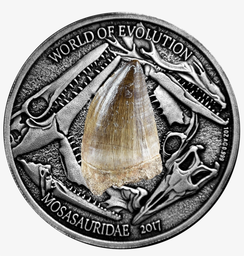 Mosasaurus World Of Evolution 1 Oz Silver Coin 1000 - Monete Burkina Faso, transparent png download