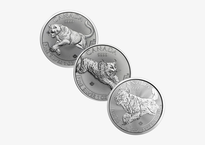 2018 Canadian Cougar, Lynx & Wolf 1oz Silver Coin Collection - リンクス (オオヤマネコ) 銀貨 1オンス クリアケース入り 2017年製 カナダ王室造幣局発行 31.1gの純銀, transparent png download